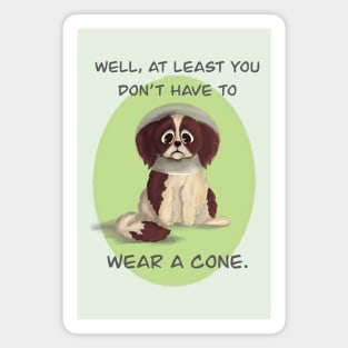 Cone of Shame Magnet